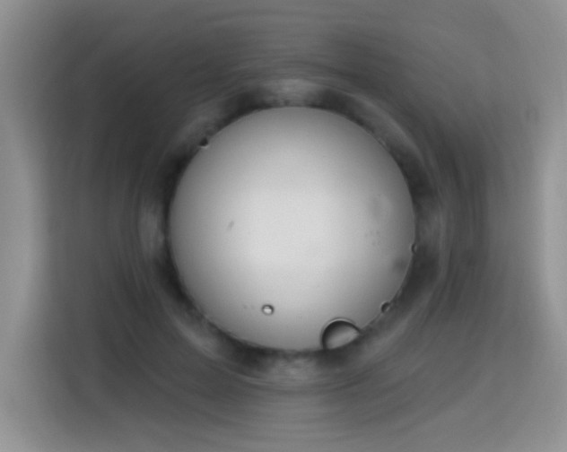 X0000115360599200911101158