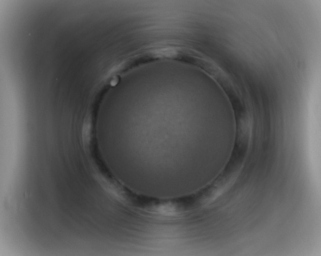 X0000115360600200911101158