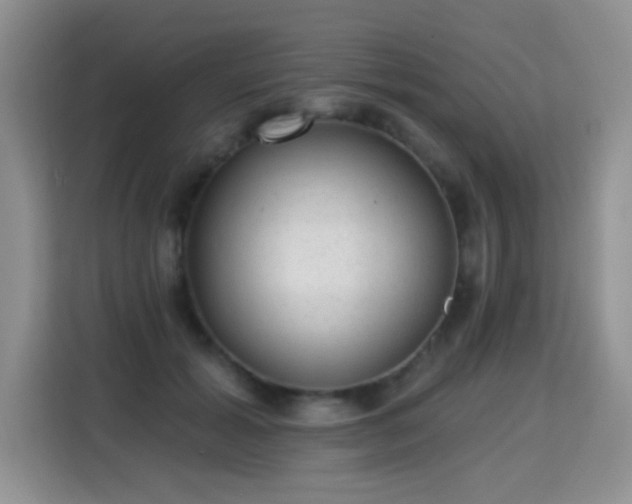 X0000115360605200911101158
