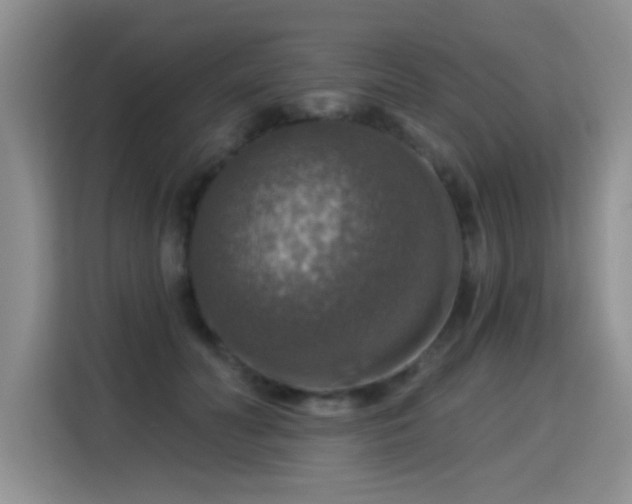 X0000115360606200911101158