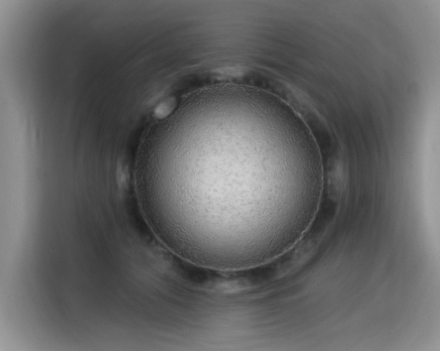 X0000115360608200911101158