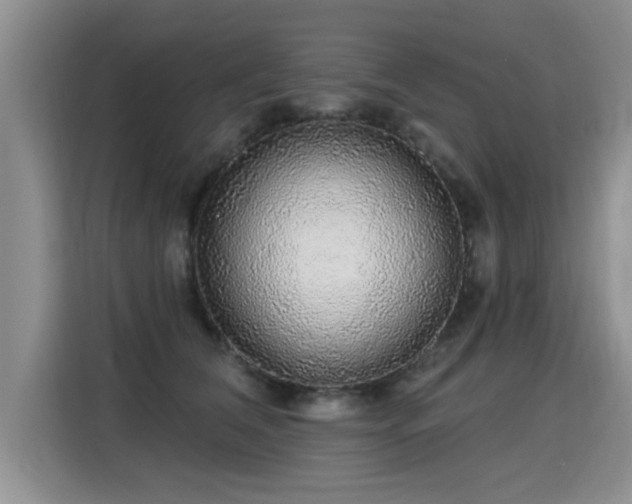 X0000115360612200911101158