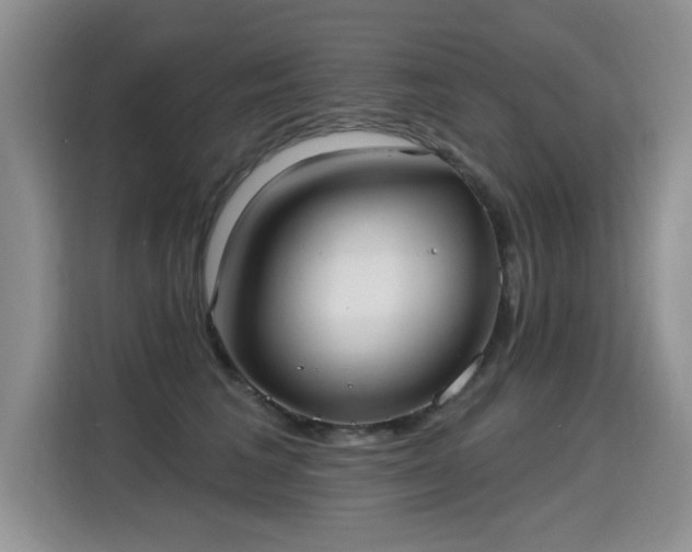 X0000115360613200911101158