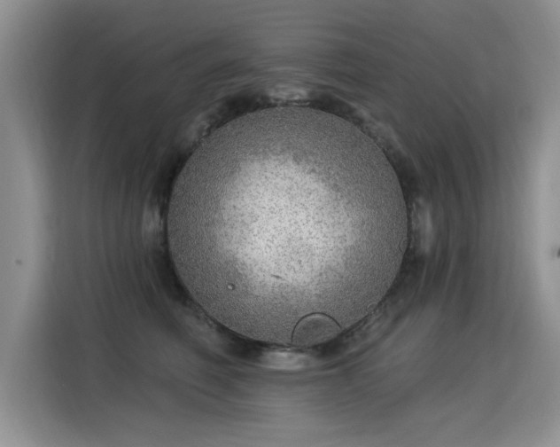 X0000115360614200911101158