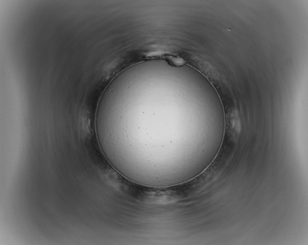 X0000115360615200911101158