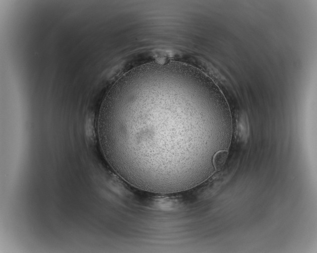 X0000115360616200911101158