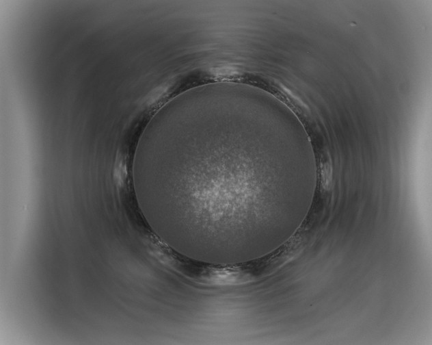 X0000115360618200911101158
