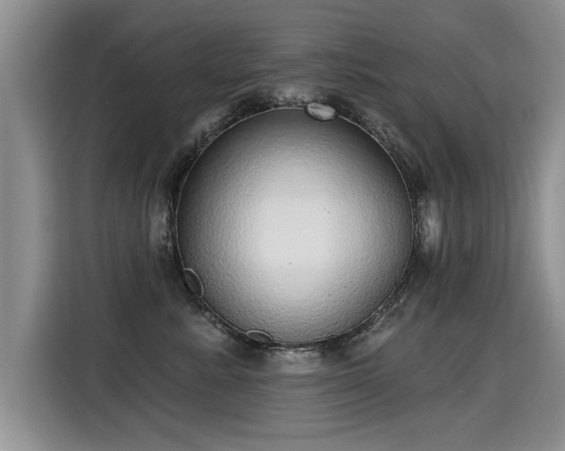 X0000115360619200911101158