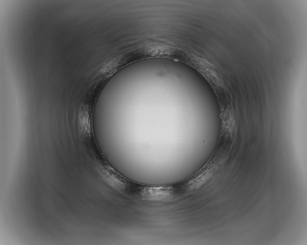 X0000115360622200911101158