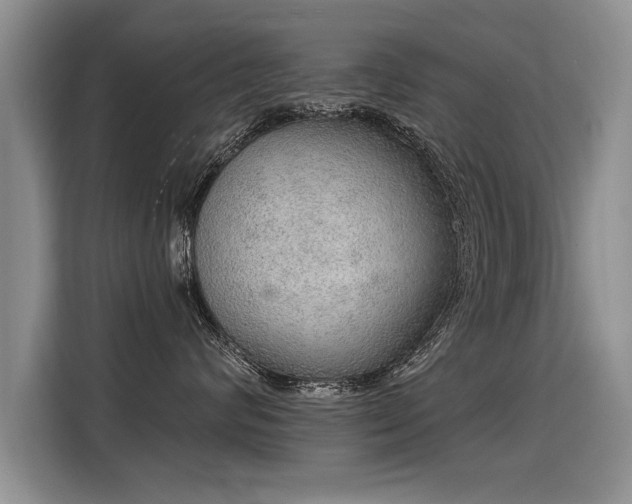 X0000115360624200911101158