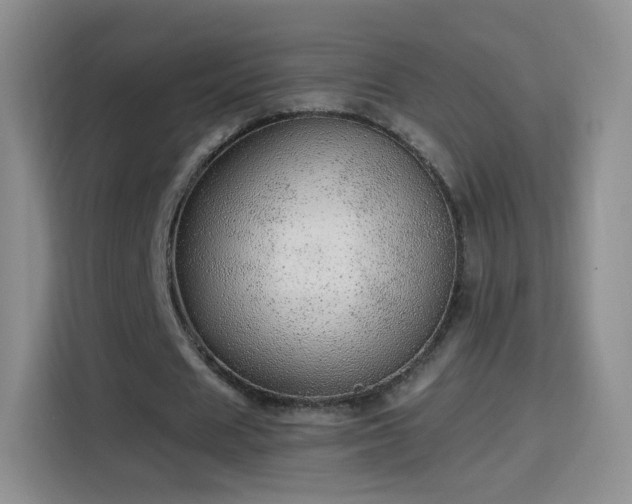X0000115360625200911101157