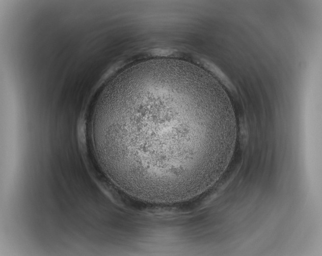 X0000115360626200911101157