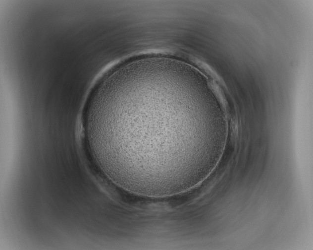 X0000115360628200911101157