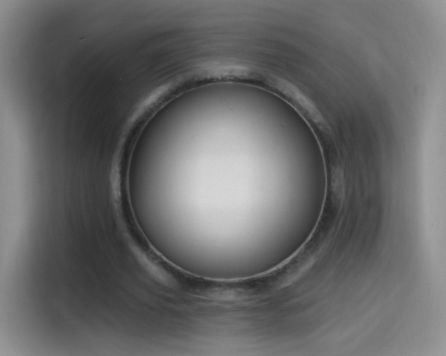 X0000115360629200911101157