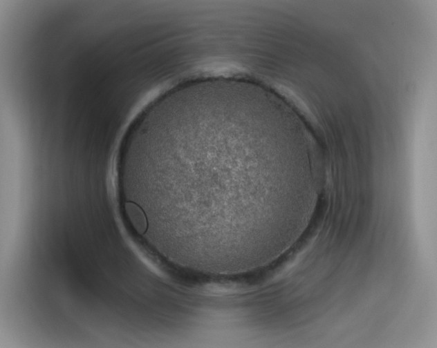 X0000115360630200911101157