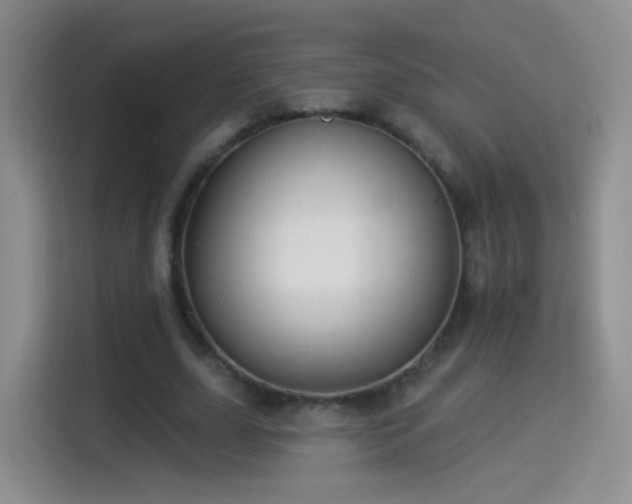 X0000115360631200911101157