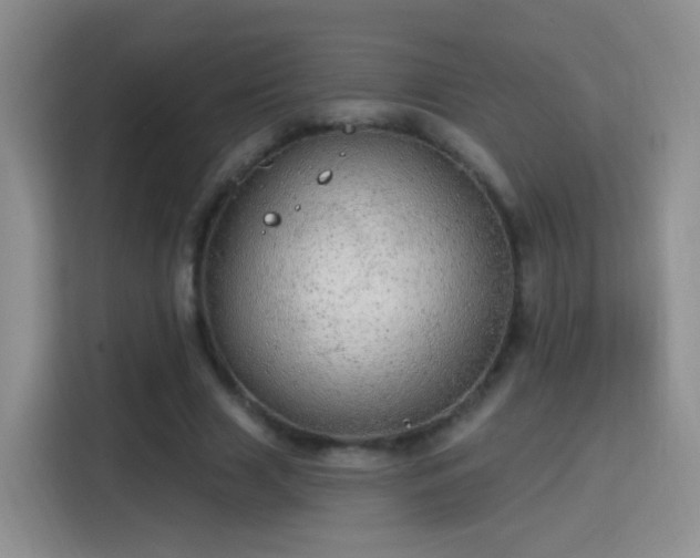 X0000115360633200911101157