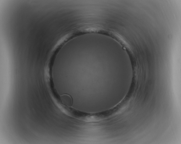 X0000115360634200911101157