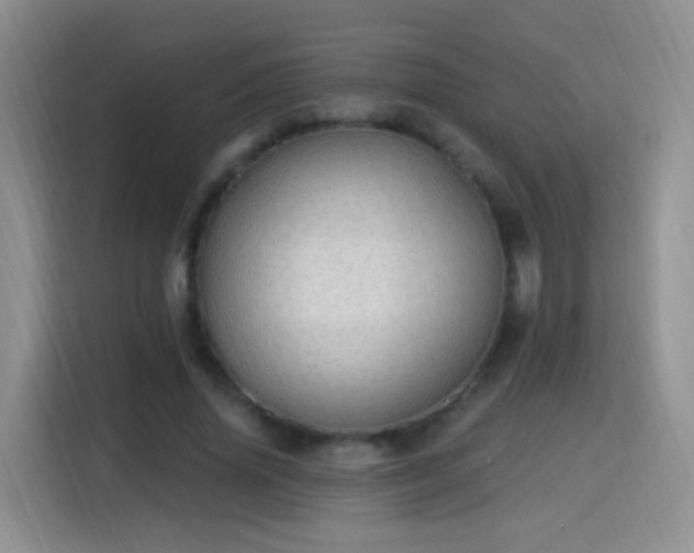 X0000115360636200911101157