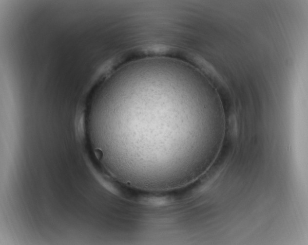 X0000115360638200911101157