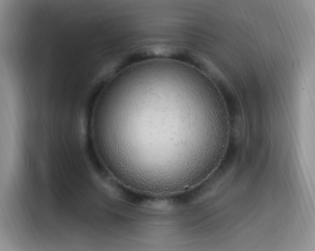 X0000115360639200911101157