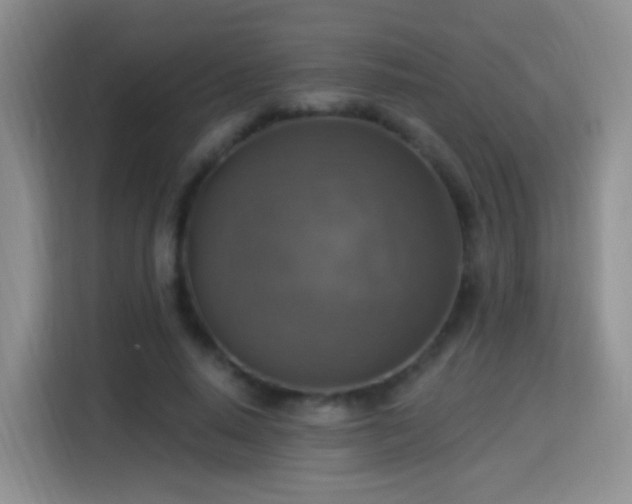 X0000115360640200911101157