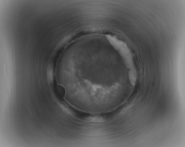 X0000115360644200911101157
