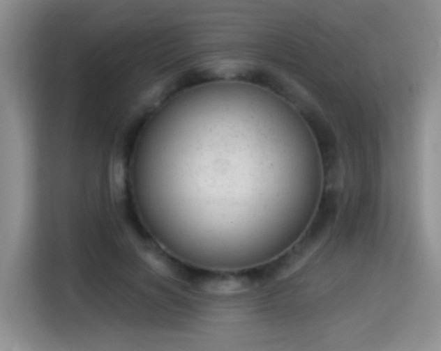 X0000115360646200911101157
