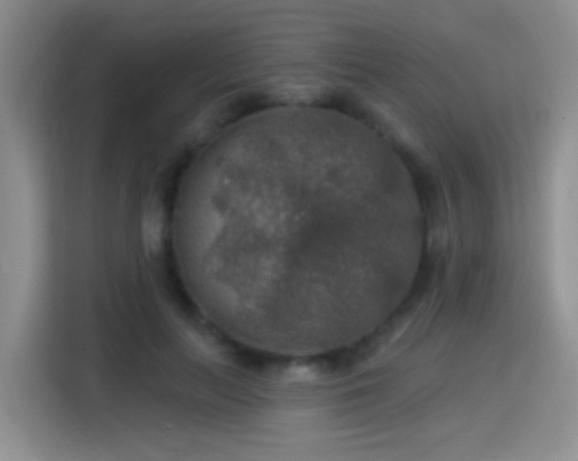 X0000115360647200911101157