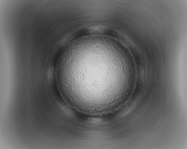 X0000115360649200911101157