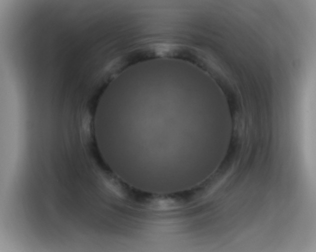 X0000115360650200911101157