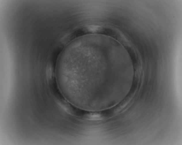 X0000115360651200911101157
