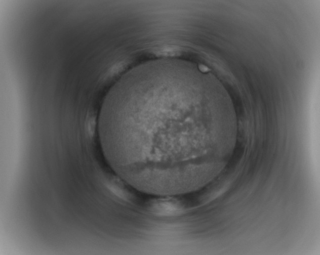 X0000115360652200911101157