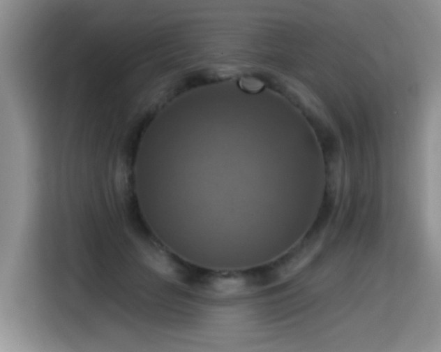 X0000115360653200911101157