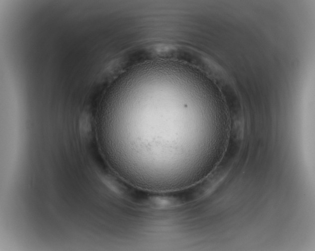 X0000115360654200911101157
