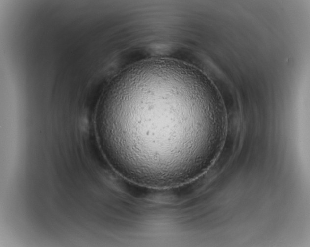 X0000115360655200911101157