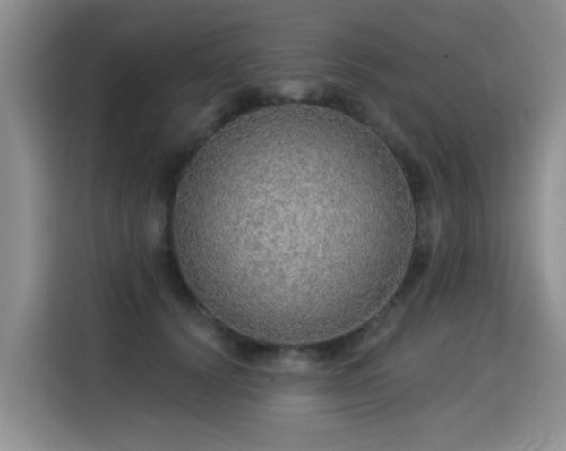 X0000115360656200911101157