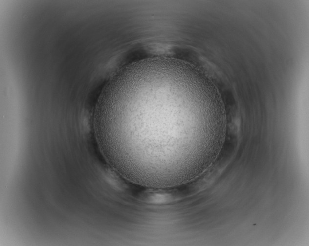 X0000115360658200911101157