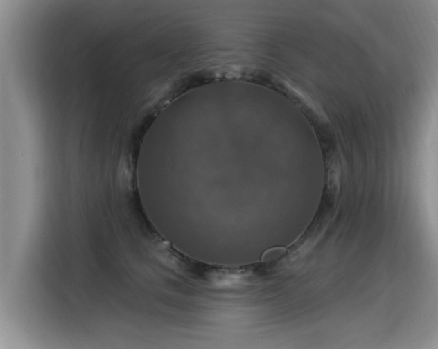 X0000115360661200911101157