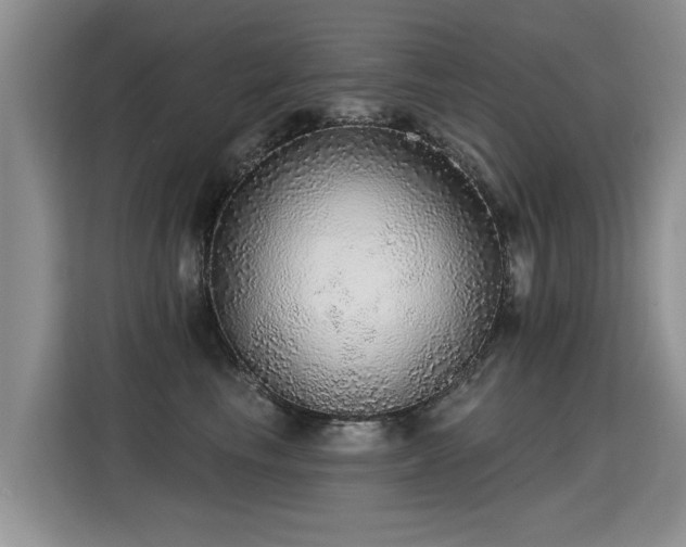 X0000115360665200911101157
