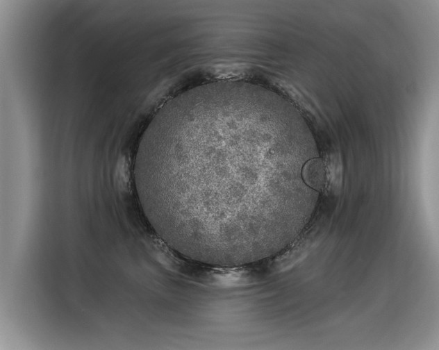 X0000115360667200911101157