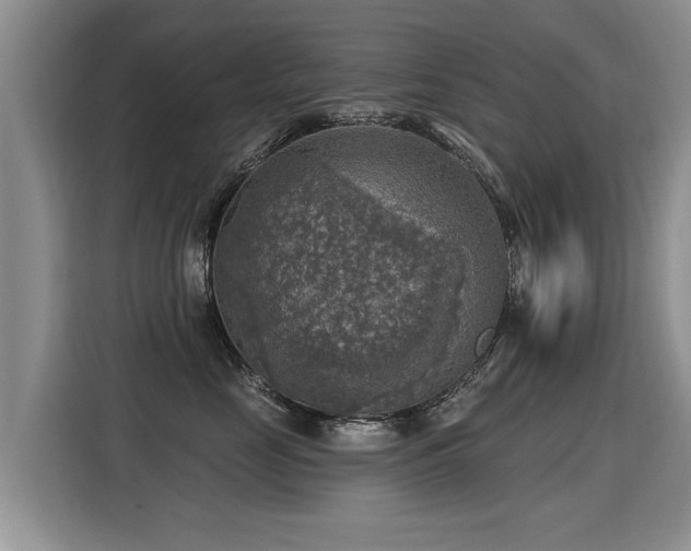 X0000115360669200911101157