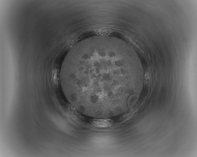 X0000115360671200911101158