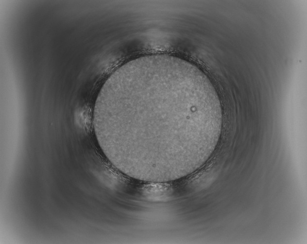X0000115360672200911101158