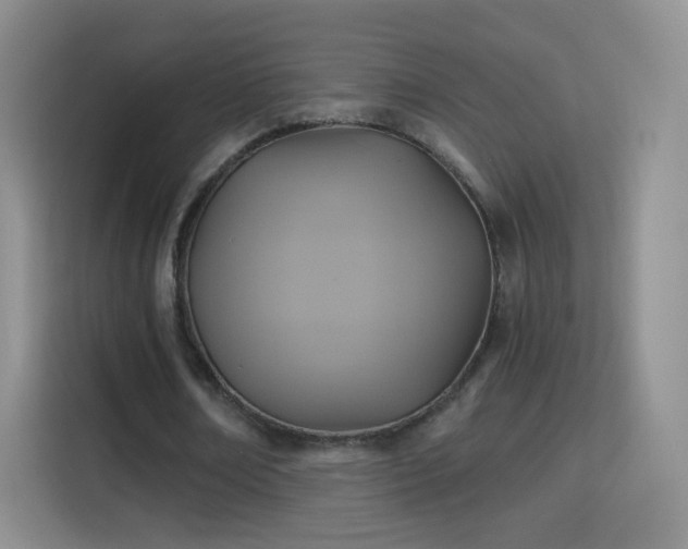 X0000115360674200911101157