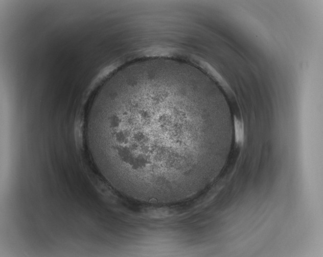 X0000115360675200911101157