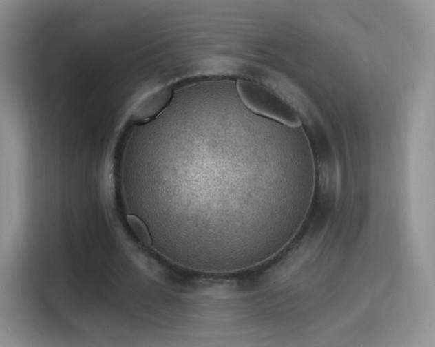 X0000115360676200911101157