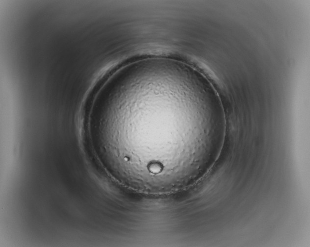 X0000115360679200911101157