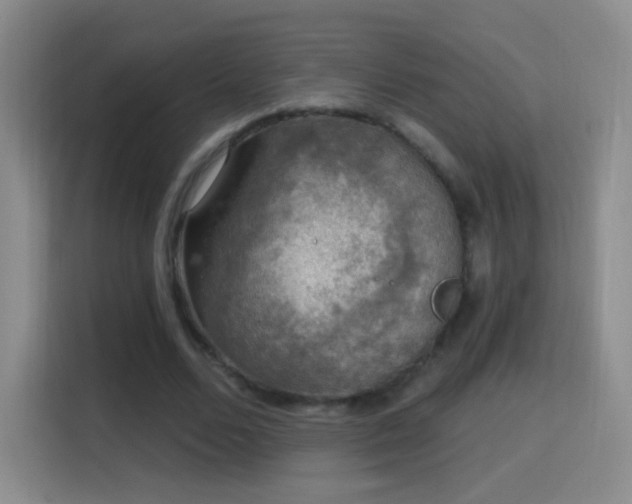 X0000115360680200911101157