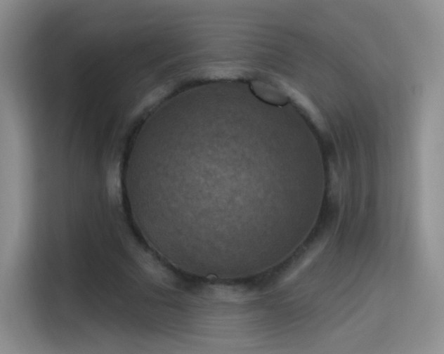 X0000115360681200911101157
